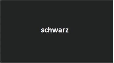 V10342schwarz.jpg